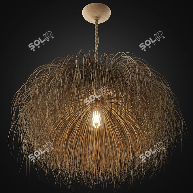 Zagg Ceiling Lamp 08 Design 3D model image 2