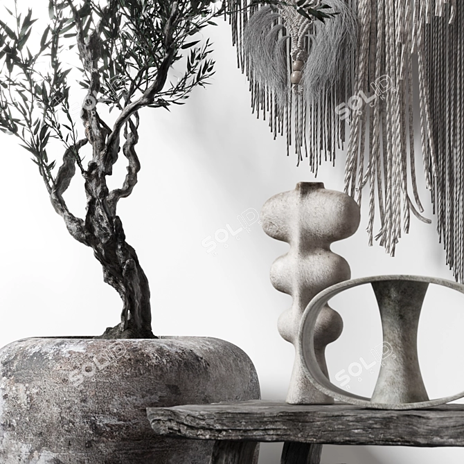 Boho Macrame Decor Set with Hanging Panno & Tree 3D model image 3