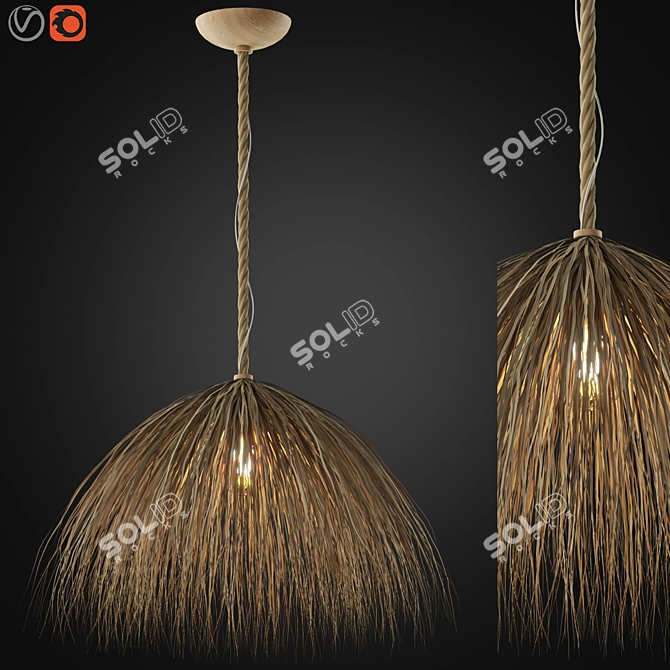 Zagg Ceiling Lamp 09 Design 3D model image 1