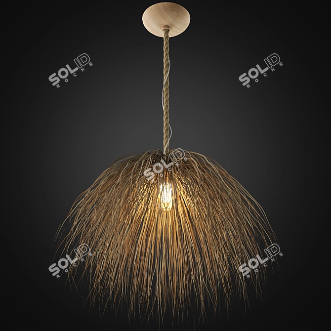 Zagg Ceiling Lamp 09 Design 3D model image 3