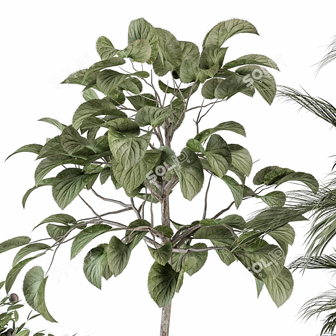 Green Oasis: Indoor Plant Set 3D model image 3