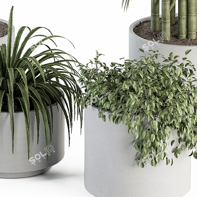 Green Oasis: Indoor Plant Set 3D model image 4