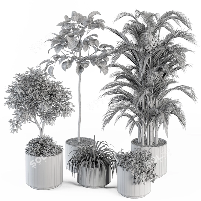 Green Oasis: Indoor Plant Set 3D model image 6