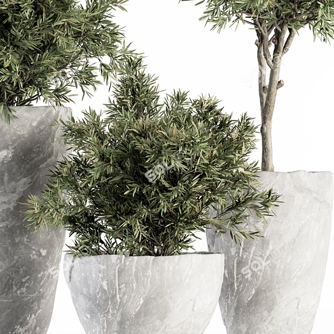 White Rock Pot Plant Set 266 3D model image 4