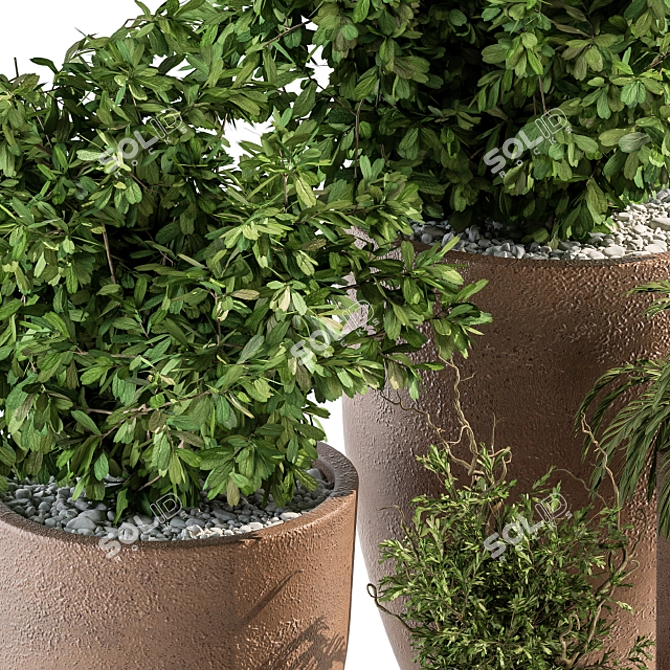 Natural Greenery: Outdoor Plant Set 3D model image 3