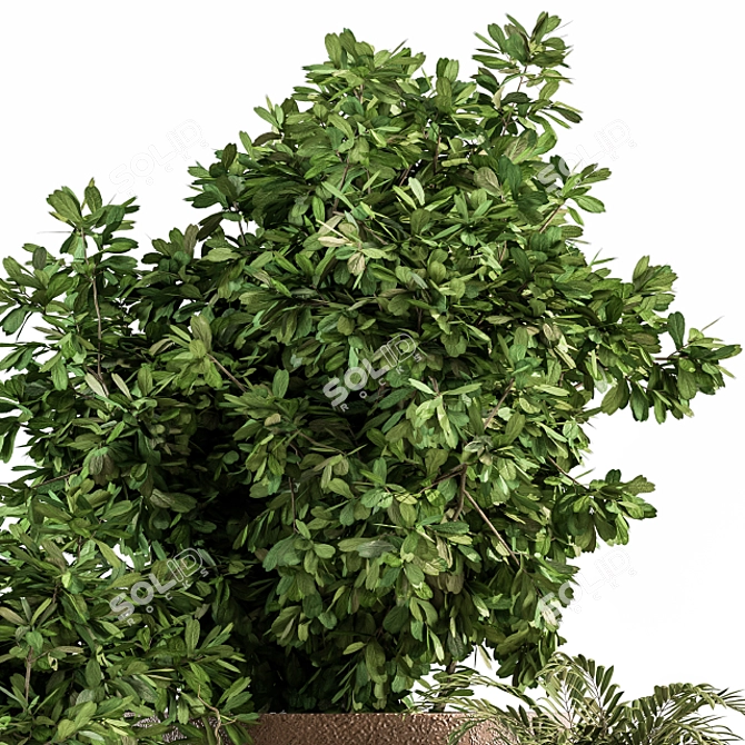 Natural Greenery: Outdoor Plant Set 3D model image 4