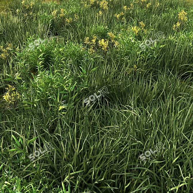 Versatile Grass Collection for Stunning Landscapes 3D model image 1