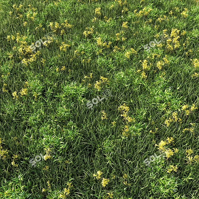 Versatile Grass Collection for Stunning Landscapes 3D model image 2