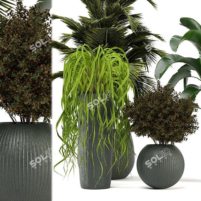 Green Oasis - Set of Indoor Plants 3D model image 2