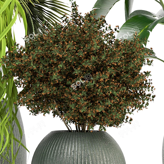 Green Oasis - Set of Indoor Plants 3D model image 4