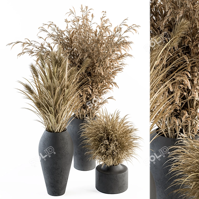 Title: Botanic Bunch: Dried Plants 81 3D model image 1