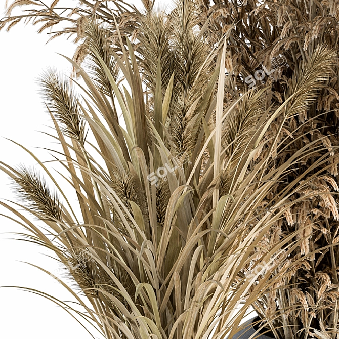 Title: Botanic Bunch: Dried Plants 81 3D model image 4