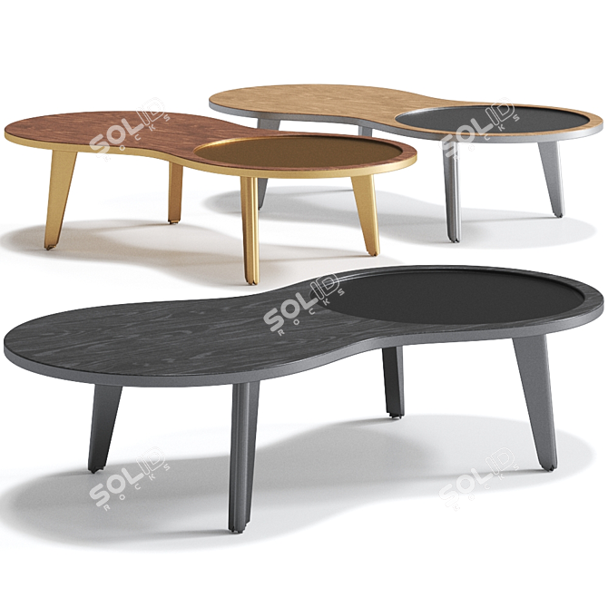 IMAGO Low Coffee Table - Sleek and Contemporary 3D model image 1