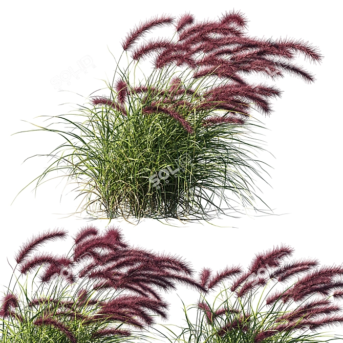 Purple Fountain Grass Wind Sculpture 3D model image 2