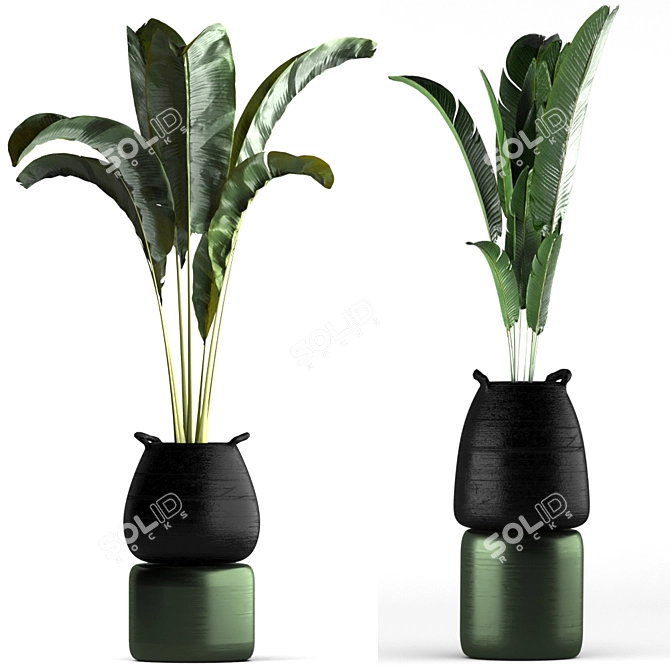 Green Oasis Plant Set - Indoor & Outdoor Pot Plants 3D model image 2