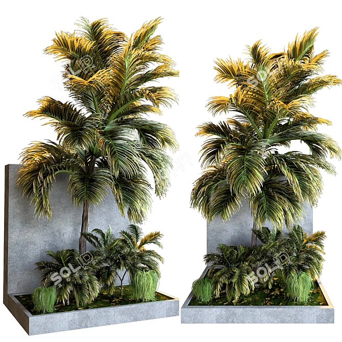 Tropical Palm Plant Collection 3D model image 1