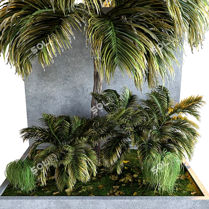 Tropical Palm Plant Collection 3D model image 2