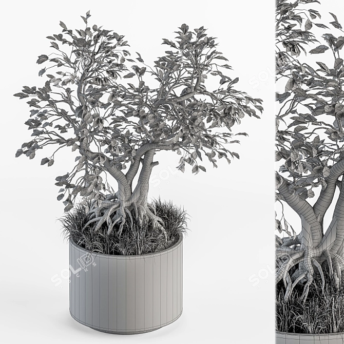 Zen Bonsai Set: Indoor Plant 234 3D model image 4