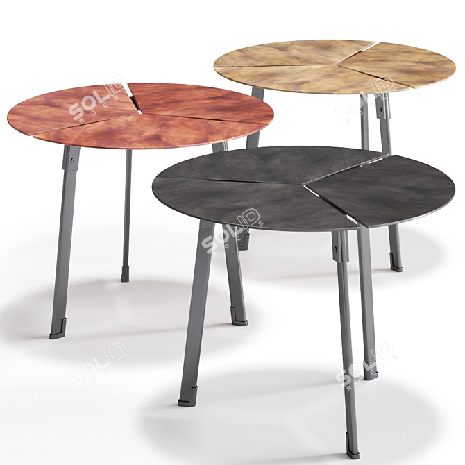 Elegance in Steel: PLACAS TABLE 3D model image 2