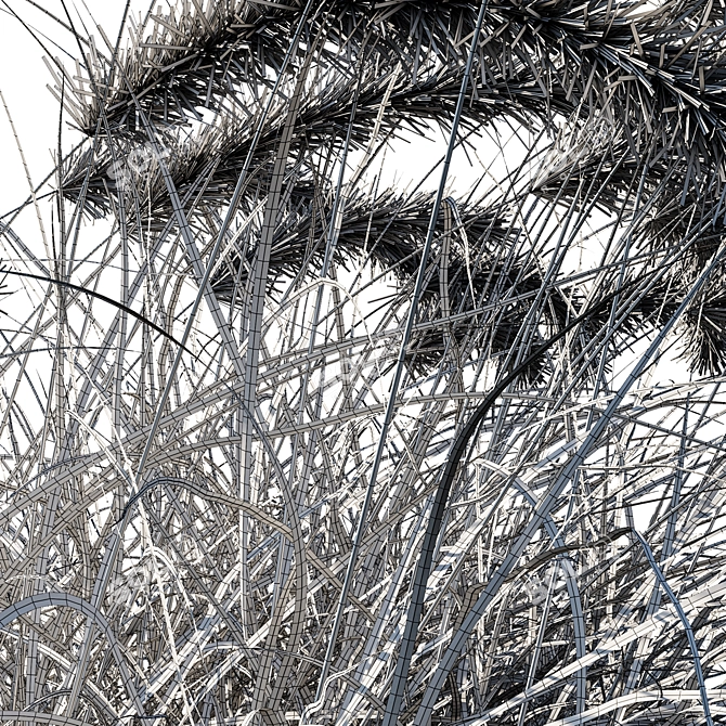 Purple Wind Grass: 2013 Millimeter Edition 3D model image 3