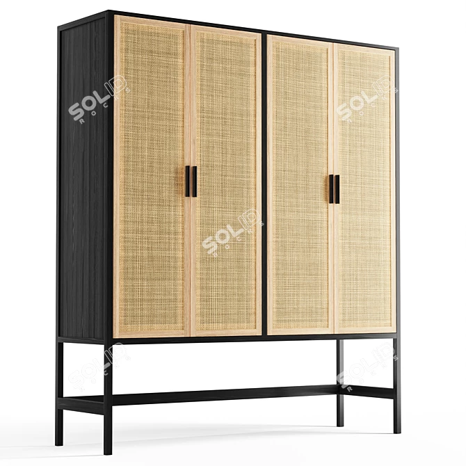 Fallon Mango Wood Cane Cabinet 3D model image 3