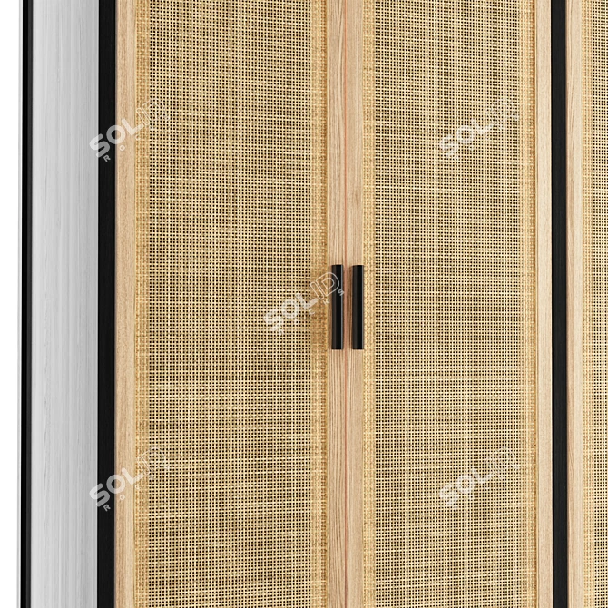 Fallon Mango Wood Cane Cabinet 3D model image 4