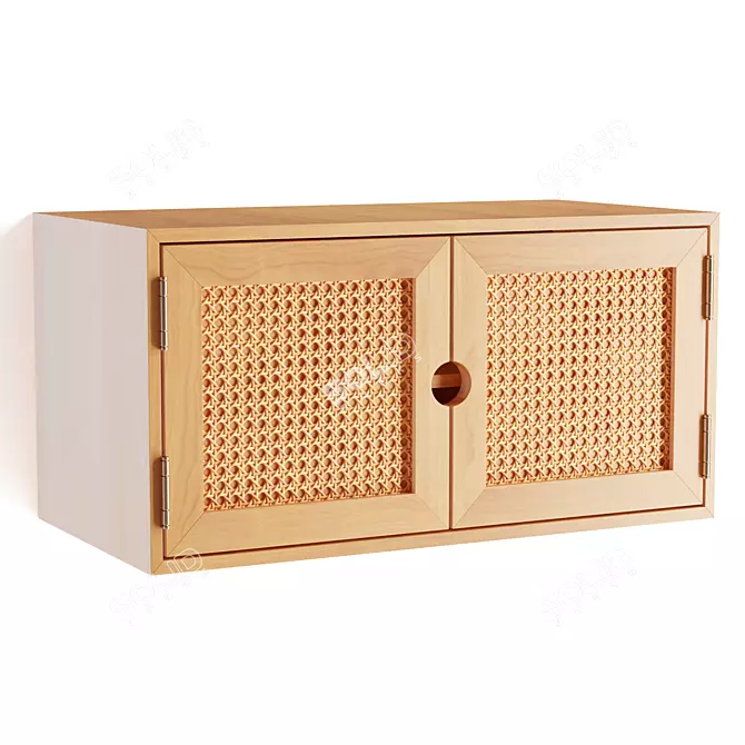 Gillian Wall Cabinet: Versatile Storage Solution 3D model image 1