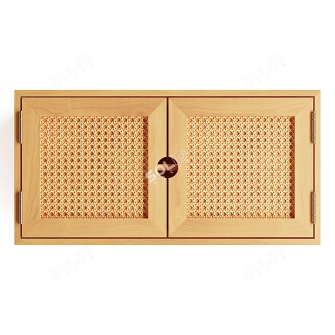 Gillian Wall Cabinet: Versatile Storage Solution 3D model image 2