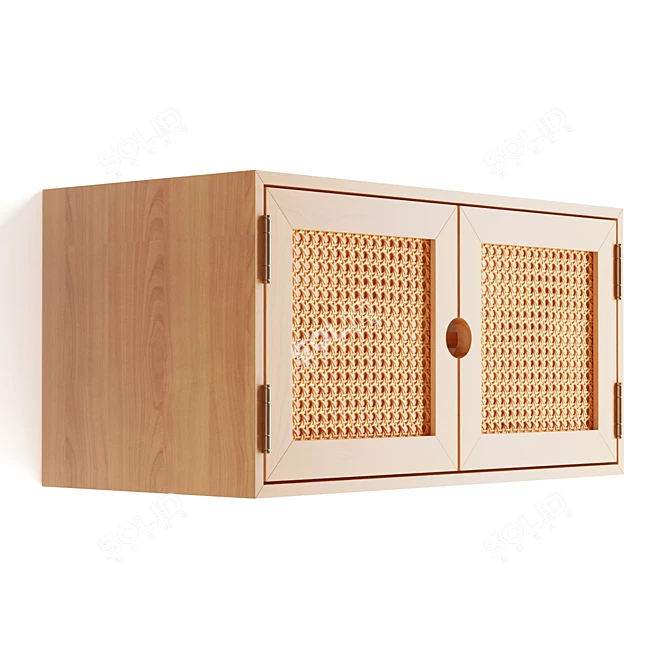 Gillian Wall Cabinet: Versatile Storage Solution 3D model image 4