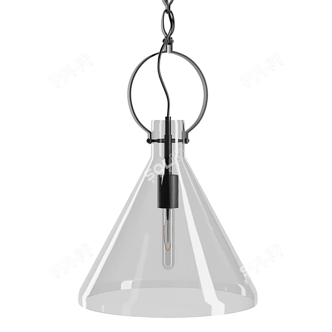 Elegant Clear Limoges Pendant 3D model image 1