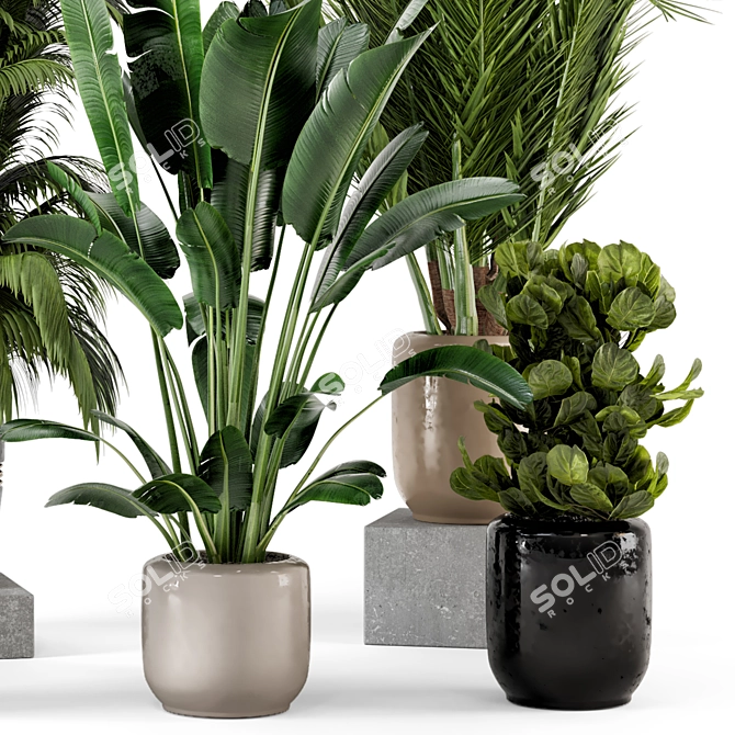 Rusty Concrete Pot Indoor Plants 3D model image 2