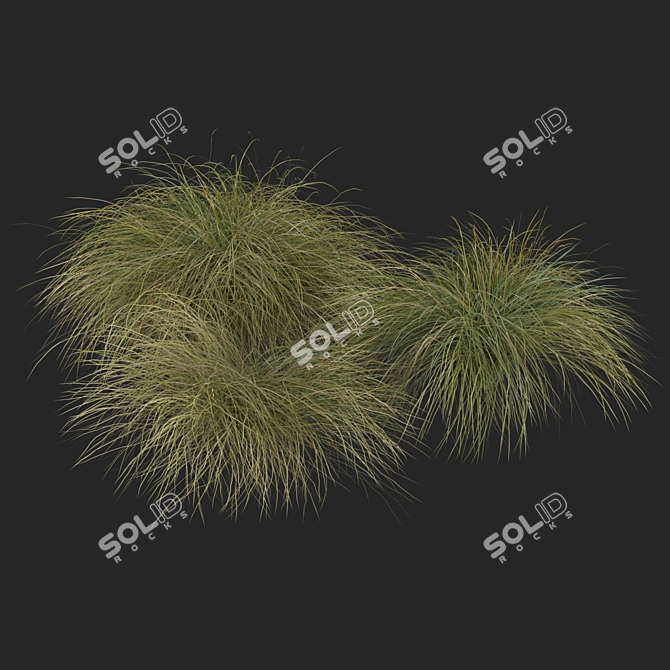 Sleek HairSedge Model - 3Ds Max 3D model image 3