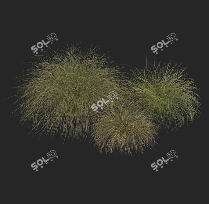 Sleek HairSedge Model - 3Ds Max 3D model image 4