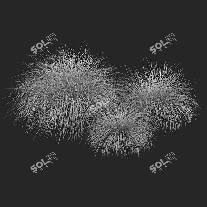 Sleek HairSedge Model - 3Ds Max 3D model image 6