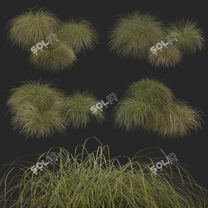 Sleek HairSedge Model - 3Ds Max 3D model image 8