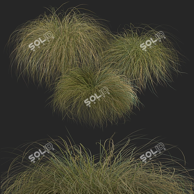 Sleek HairSedge Model - 3Ds Max 3D model image 9