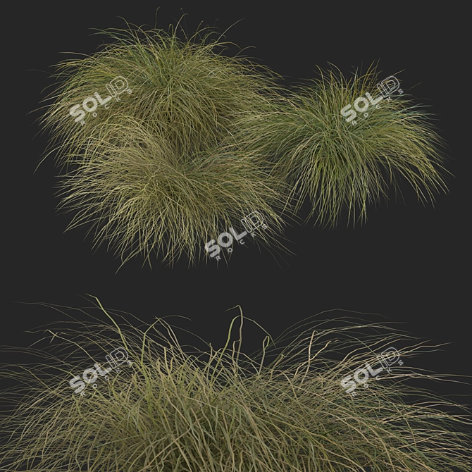 Sleek HairSedge Model - 3Ds Max 3D model image 10