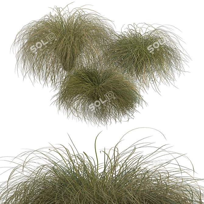 Sleek HairSedge Model - 3Ds Max 3D model image 17