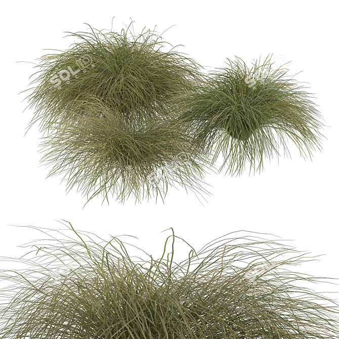 Sleek HairSedge Model - 3Ds Max 3D model image 18