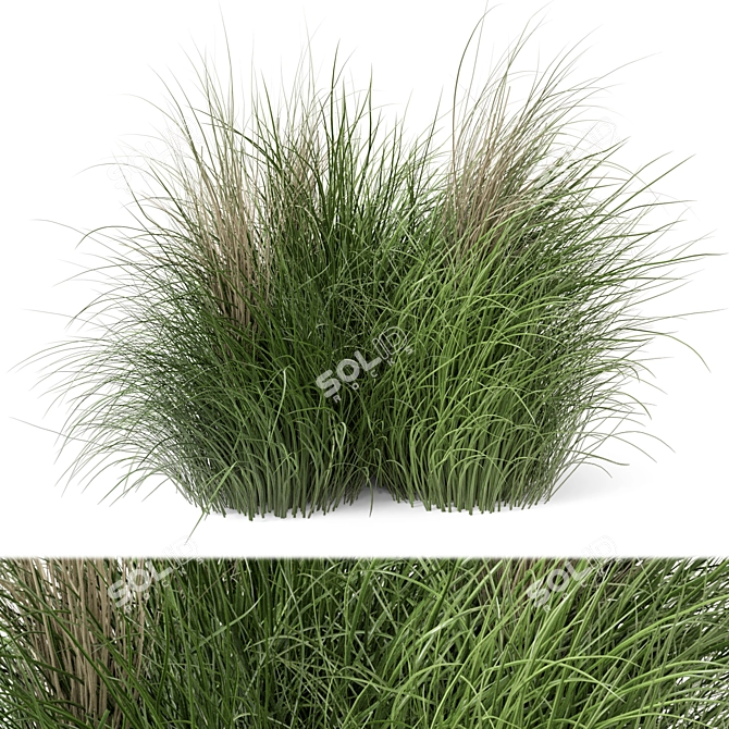 Natural Outdoor Bush Set 3D model image 1