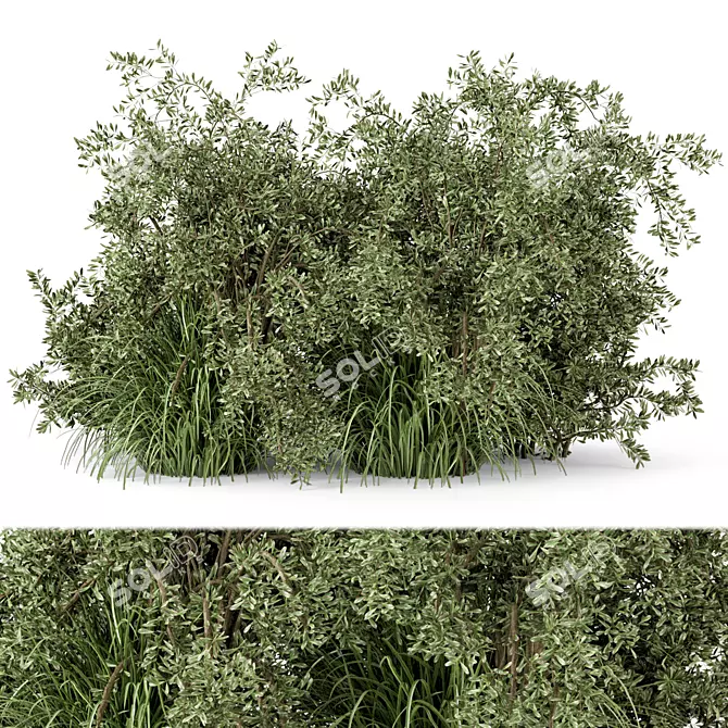 Lush Outdoor Bush Set - 219 Varieties 3D model image 1