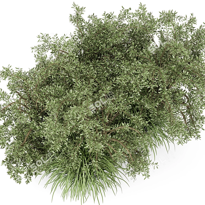 Lush Outdoor Bush Set - 219 Varieties 3D model image 2