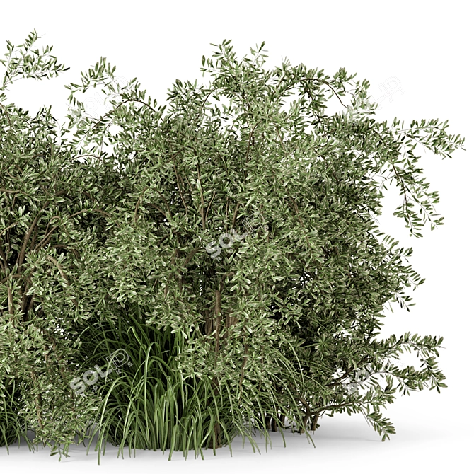 Lush Outdoor Bush Set - 219 Varieties 3D model image 4