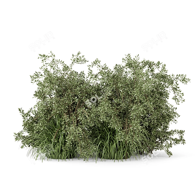 Lush Outdoor Bush Set - 219 Varieties 3D model image 6