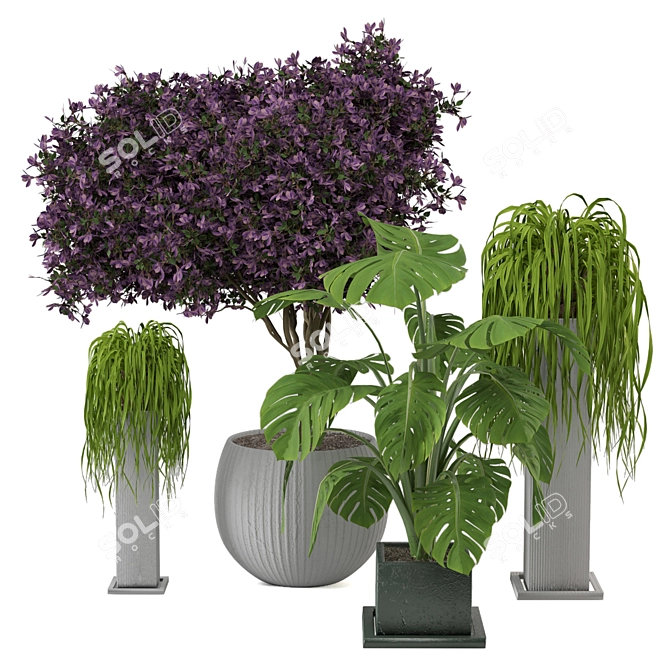 Exquisite Outdoor Plant Set 3D model image 1