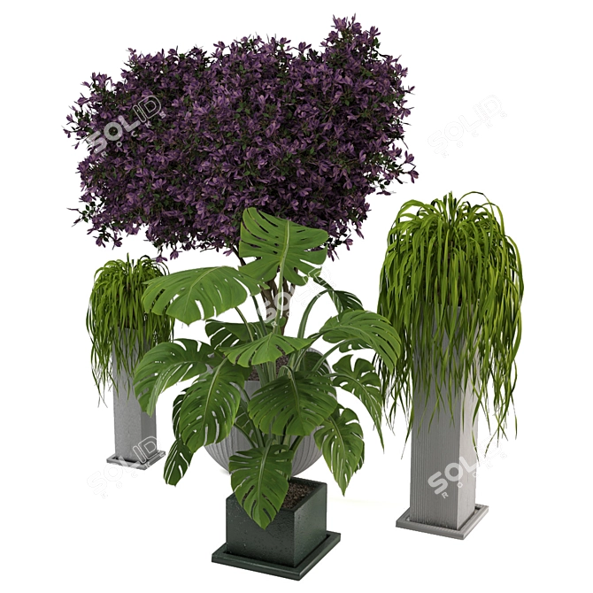 Exquisite Outdoor Plant Set 3D model image 3