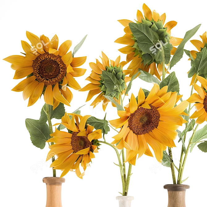 Sunflower Dreams Bouquet 3D model image 3