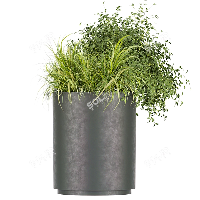 Premium Plant Collection (Vol. 232) 3D model image 3