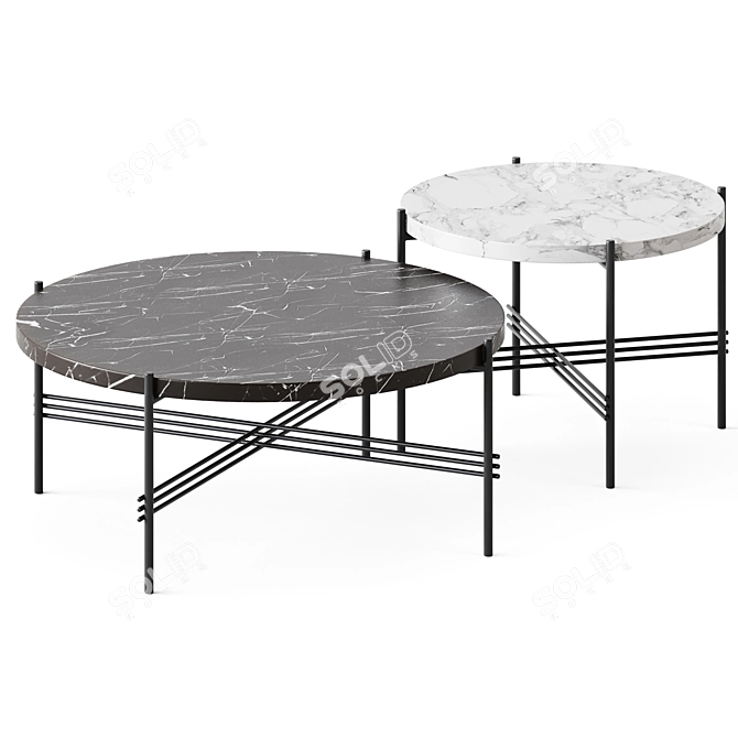 Elegant TS Marble Coffee Table 3D model image 1