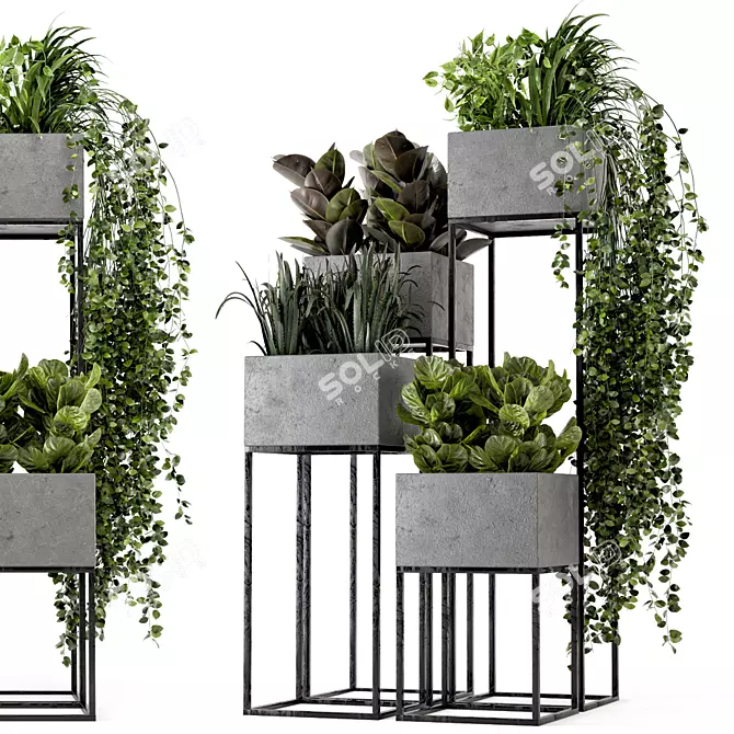 Rusty Concrete Pot Indoor Plants - Set 221 3D model image 1